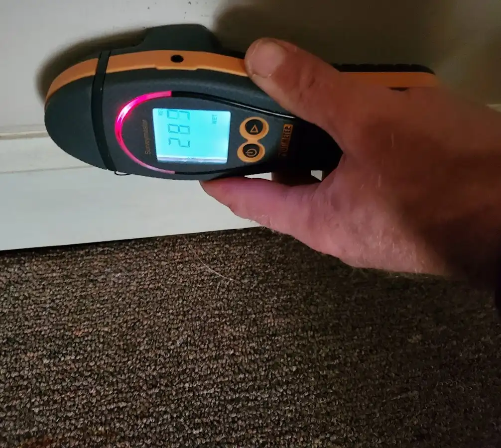 Moisture detection at baseboard during Sewage Cleanup & Sanitation in Tiffin